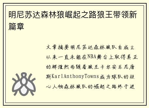 明尼苏达森林狼崛起之路狼王带领新篇章